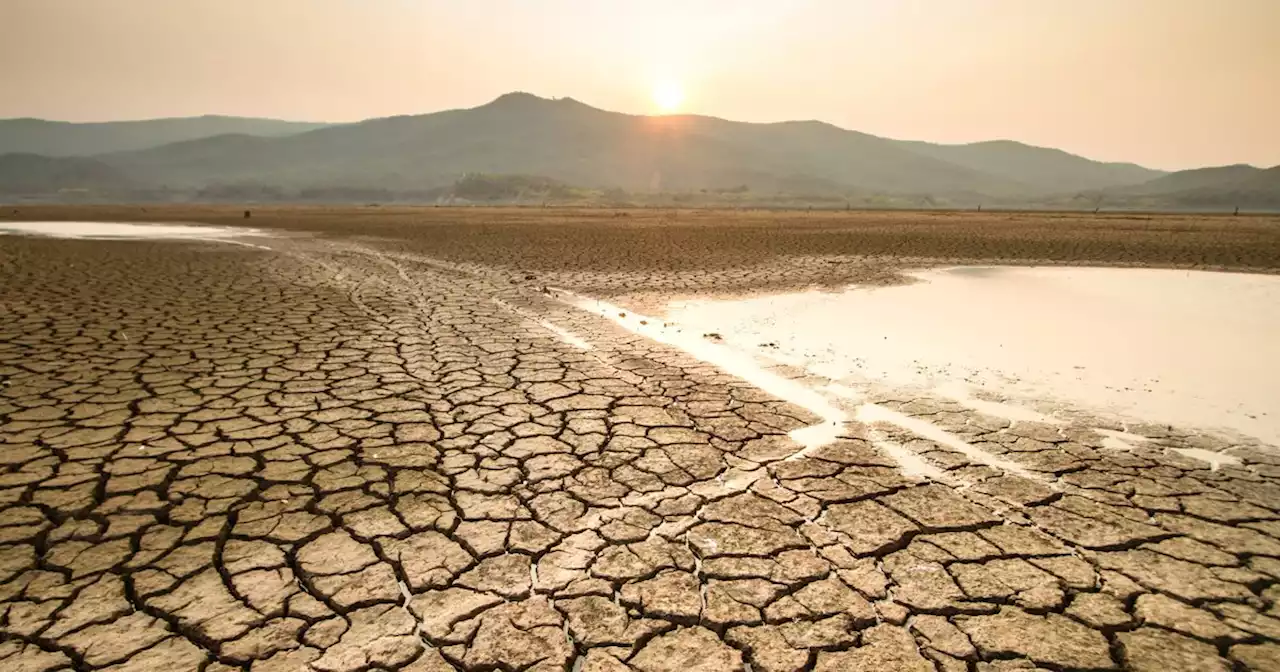 Declaran oficialmente fenómeno de El Niño a nivel global: altas temperaturas hasta final de 2023