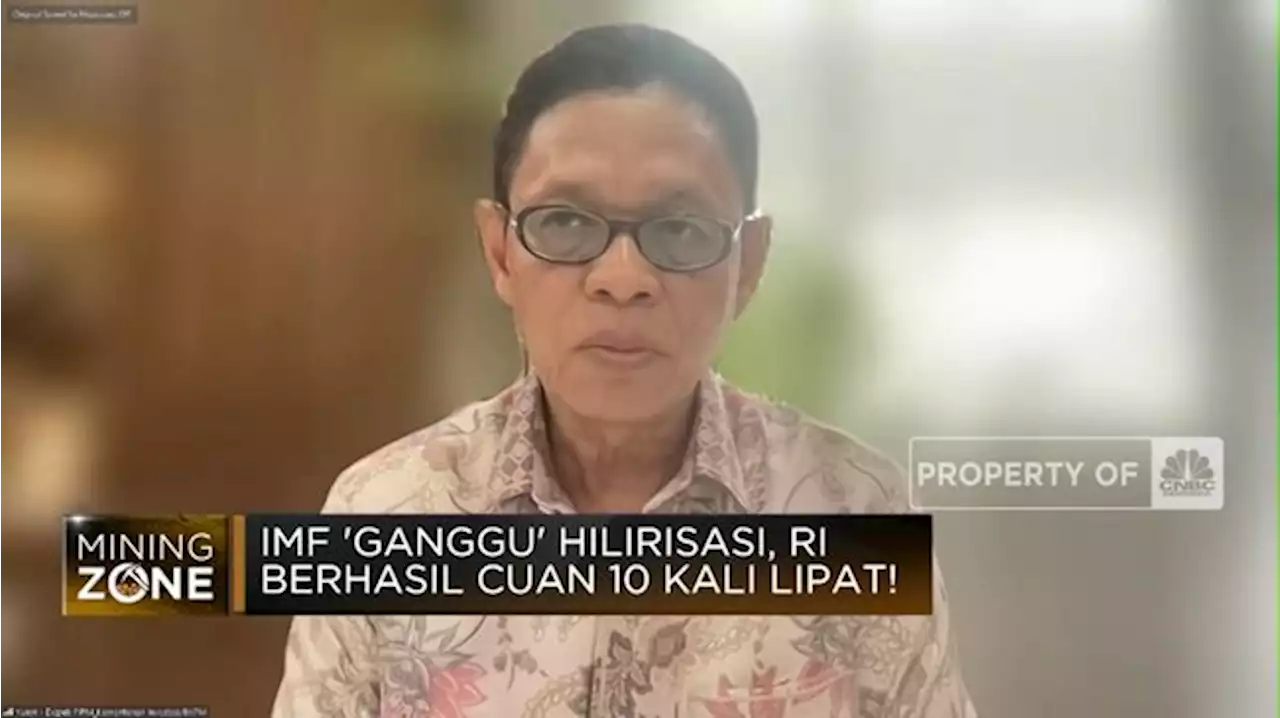 IMF Kritik Hilirisasi, Takut Indonesia Jadi Negara Maju?