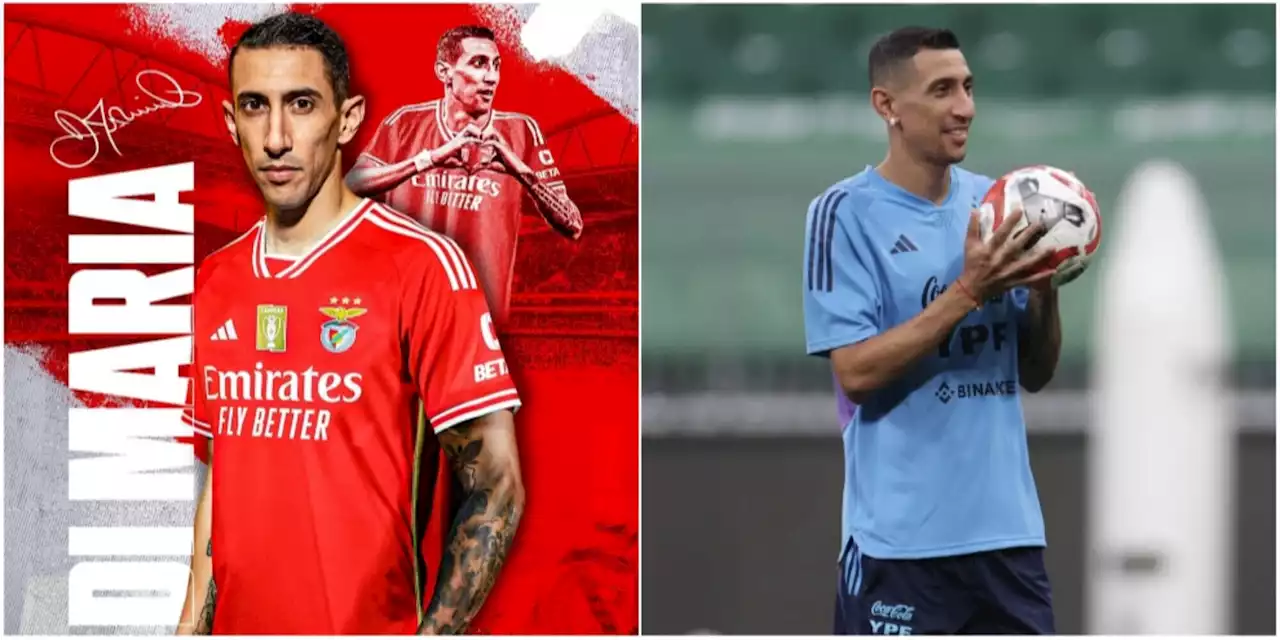 Benfica, ufficiale: torna Di Maria dopo 13 anni