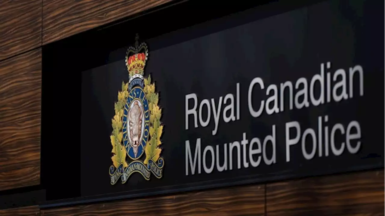 Manitoba man killed in tent by tree felled during storm: RCMP