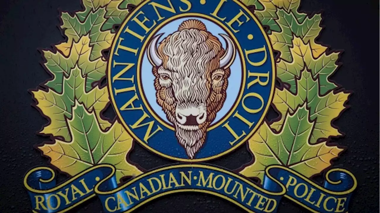 Ottawa man first to face terrorism, hate charges linked to far-right propaganda