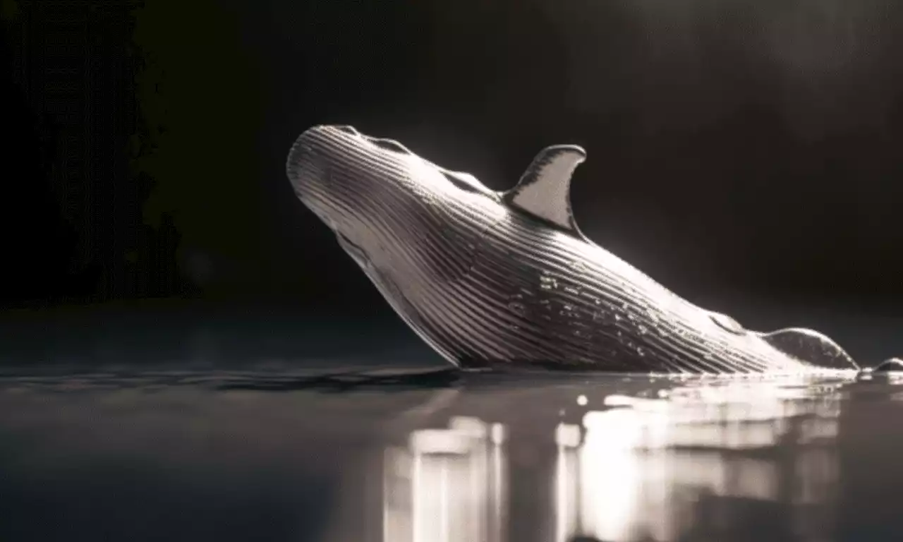 Litecoin whales take position as halving countdown narrows