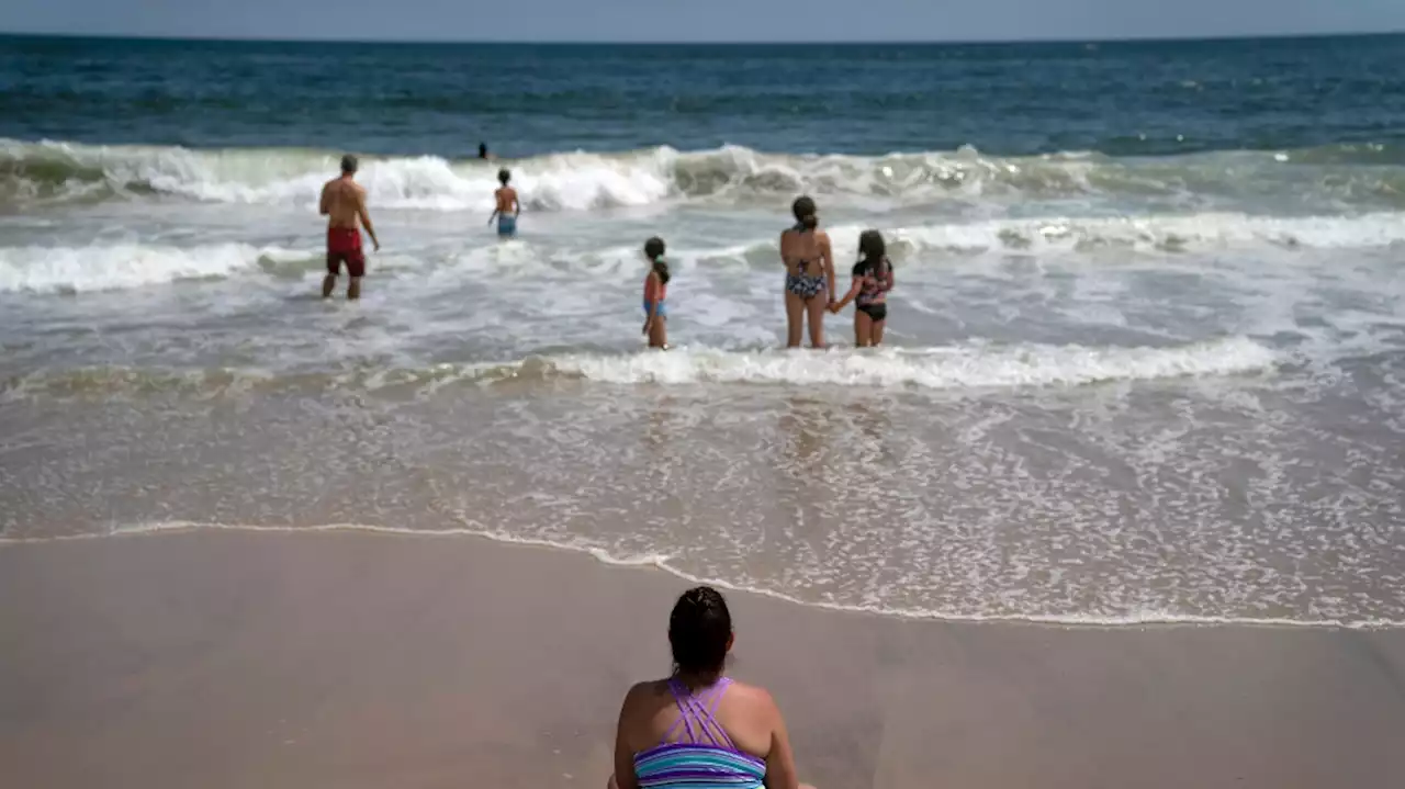 Possible shark attacks prompt heightened patrols at New York's Long Island beaches