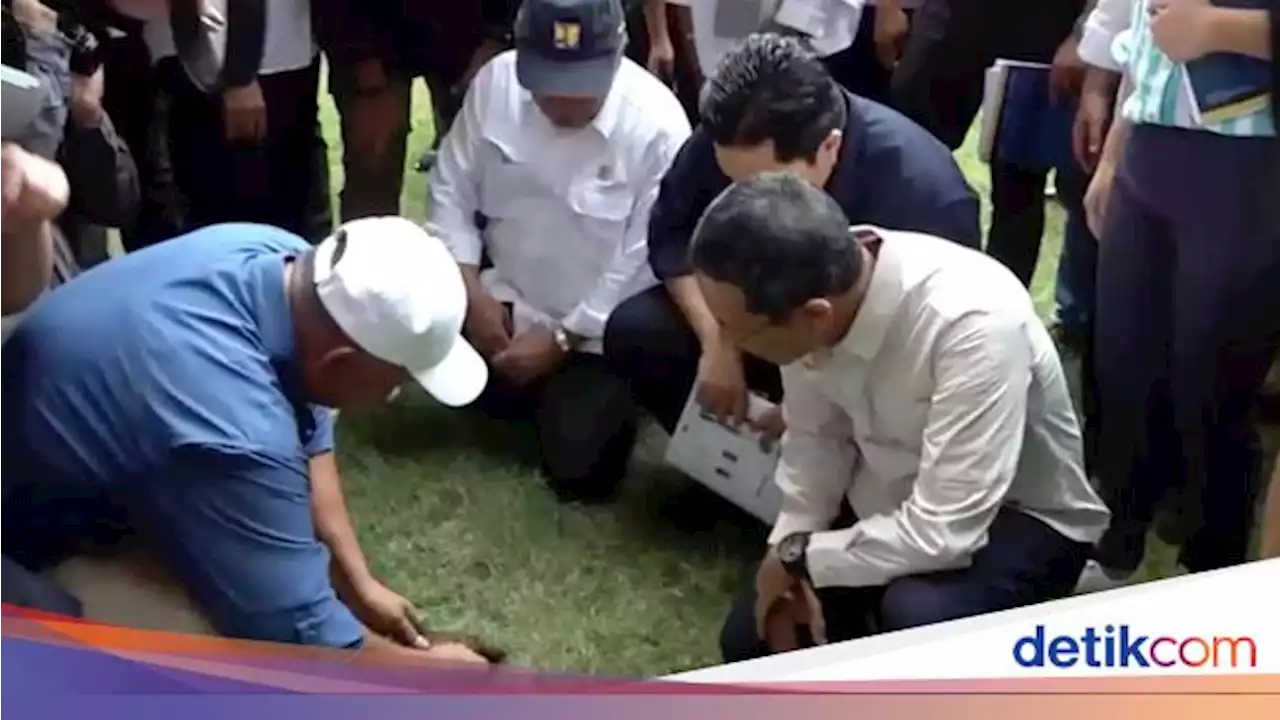 Rumput JIS Jadi Sorotan, Bakal Diganti Hingga Telan Miliaran