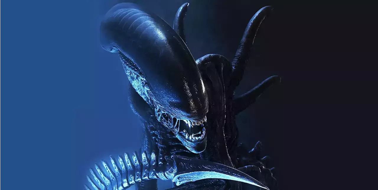 New Alien movie has wrapped filming ahead of 2024 release