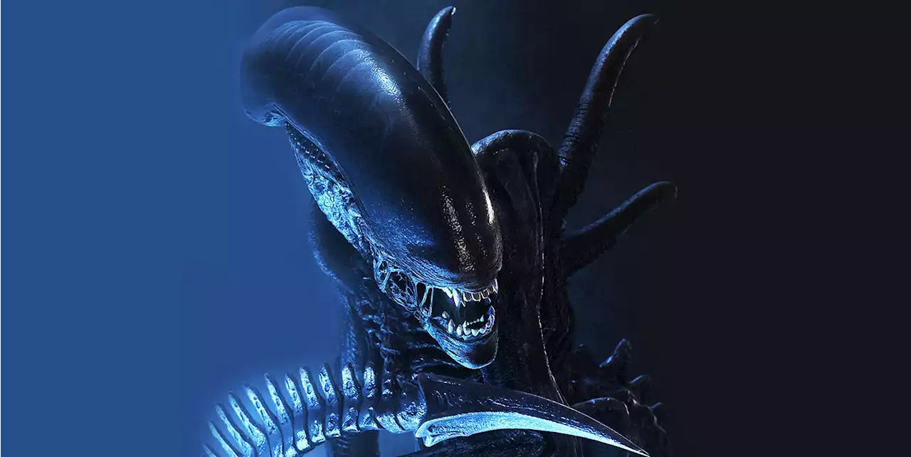 New Alien movie has wrapped filming ahead of 2024 release