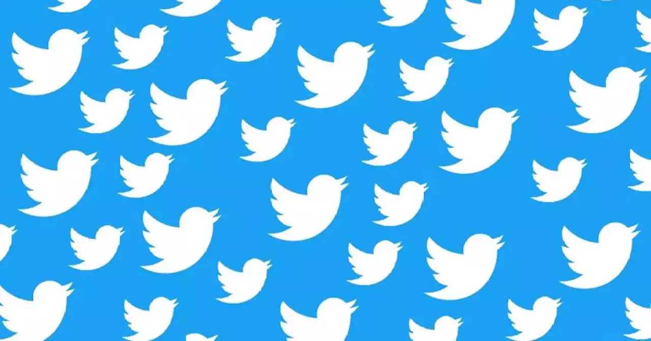 Twitter CEO breaks silence on platform’s reading caps | Digital Trends