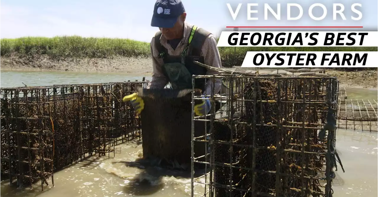 How the McIntosh Family Is Keeping One of Georgia’s Last Oyster Farms Alive