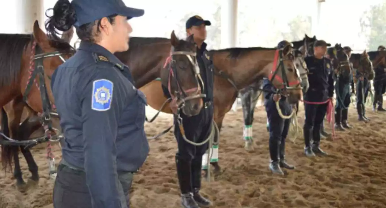 Muere oficial en instalaciones de la Policía Montada en Iztapalapa | El Universal