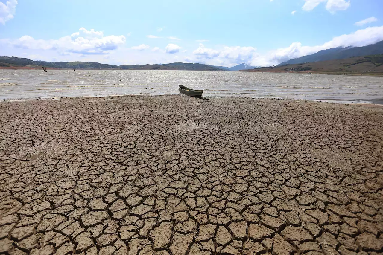 Declaran oficialmente el inicio de El Niño, con probable aumento de temperaturas