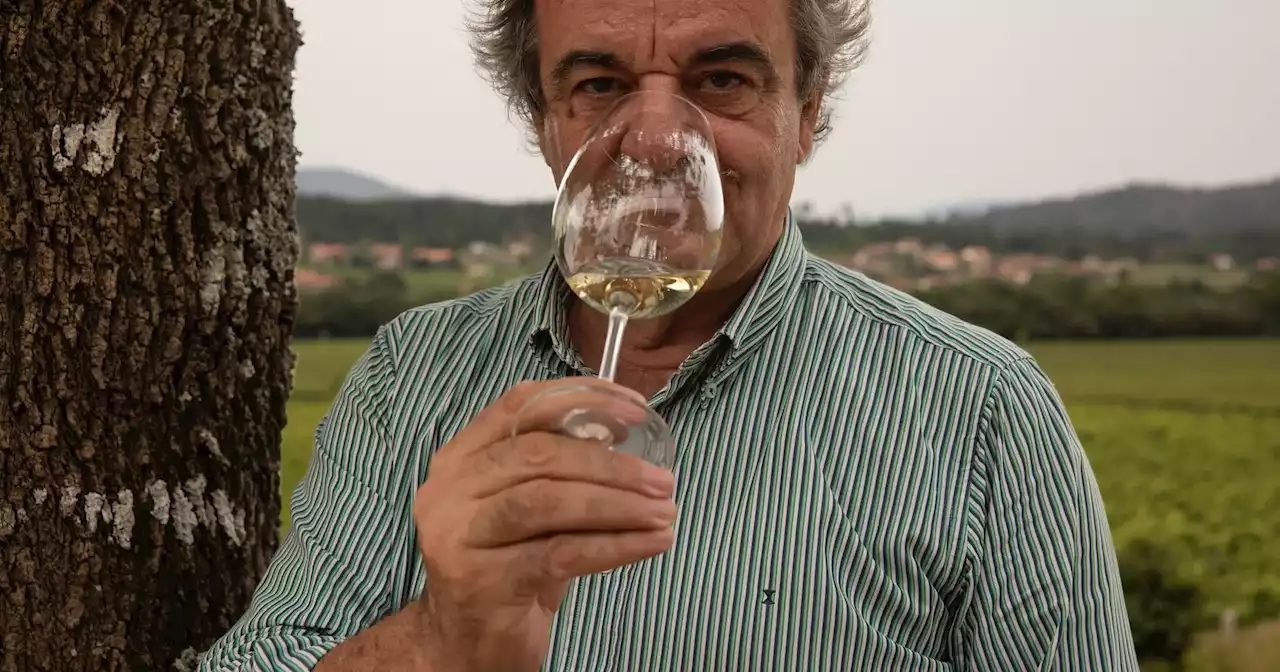 Anselmo Mendes: “Há mais sulfitos numa sandes de fiambre do que numa garrafa de vinho”