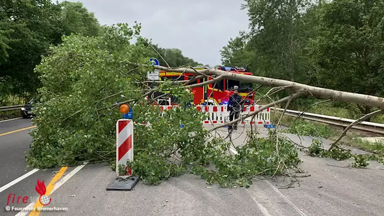 D: Feuerwehr Bremerhaven am 5. Juli 2023 bei ersten Sturmschäden eingesetzt