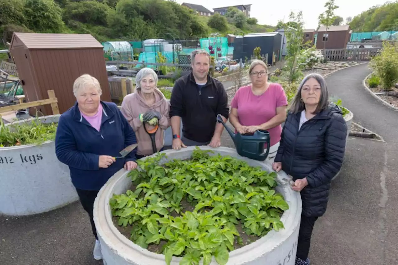 Council reveals plans to tackle 500 price hike for city allotment users