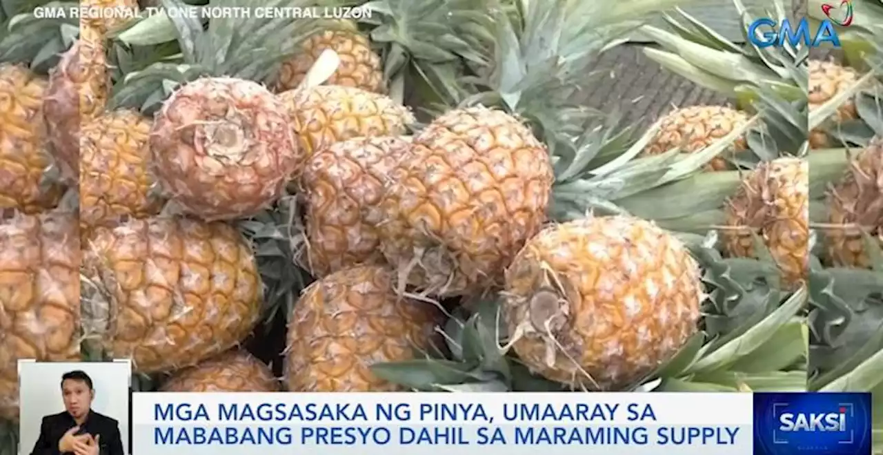 Farmers from Cagayan, Isabela burdened with oversupply of pineapples