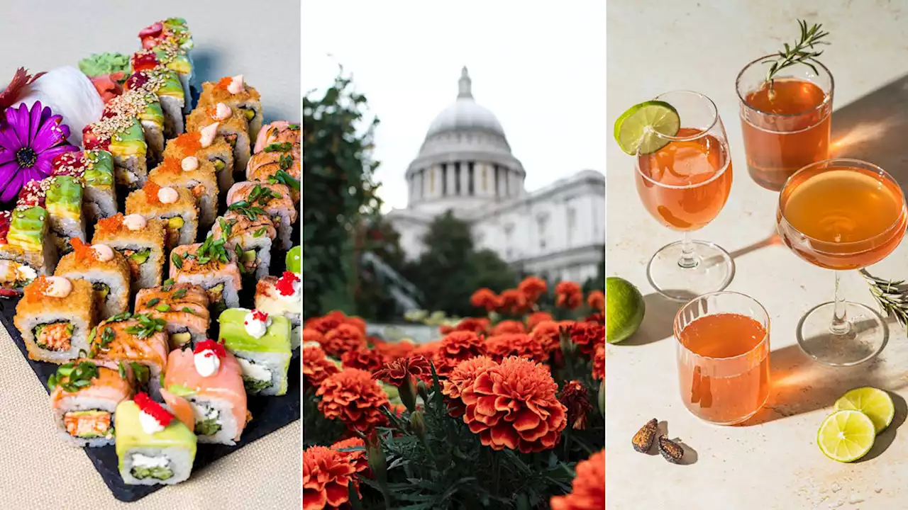 13 best things to do in London in July to soak up summer in the city