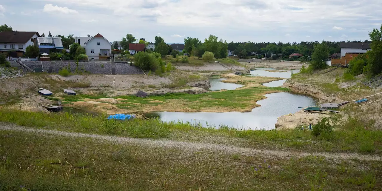 Tote Enten am See in Wr. Neustadt – das ist der Grund