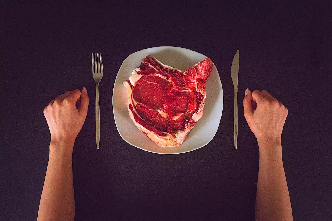 Here's What Health Care Professionals Really Think Of The Carnivore Diet