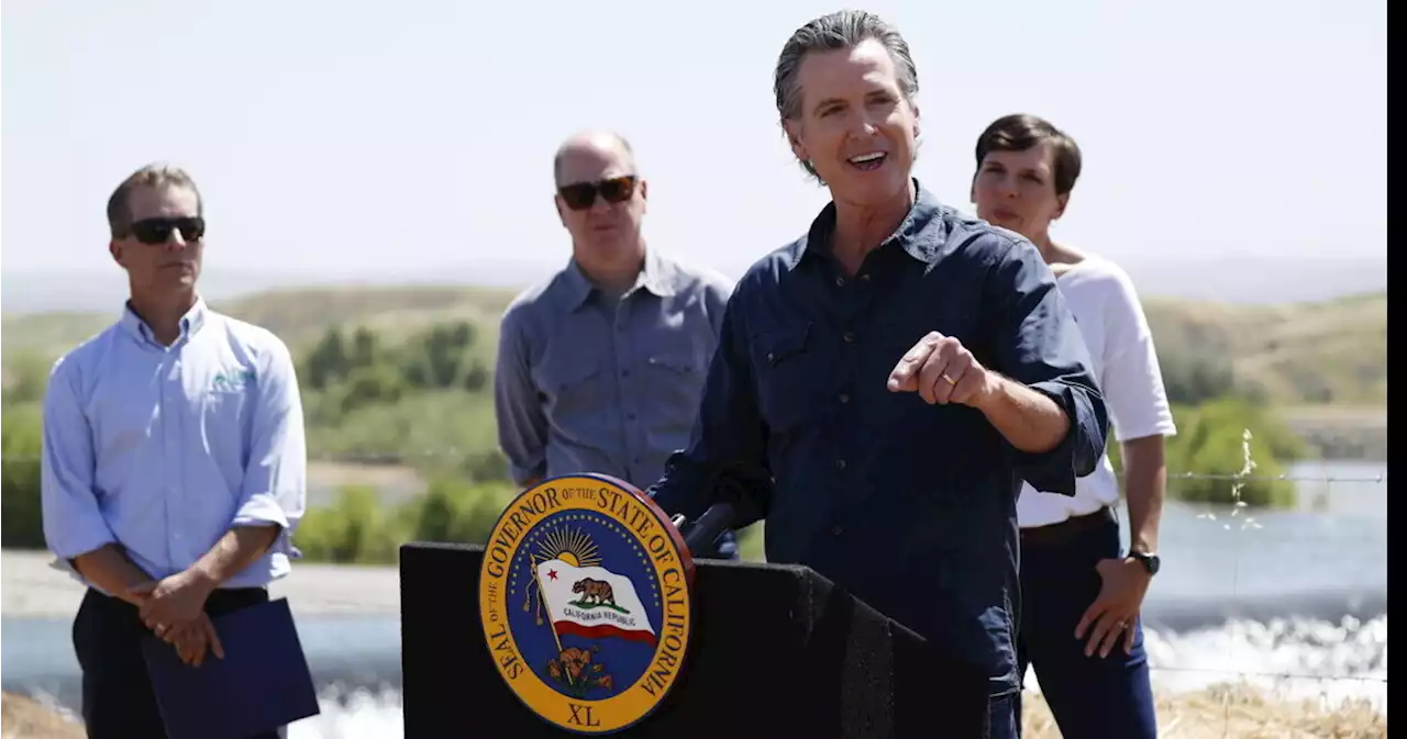 Negli Stati Uniti, il soldato Newsom prova a risolvere la crisi democratica