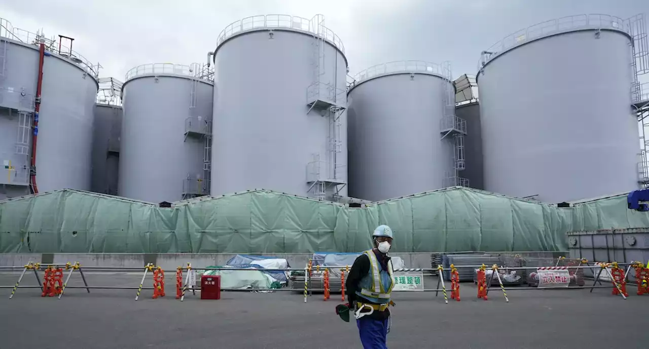 Cosa c'è nell'acqua di Fukushima - Il Post