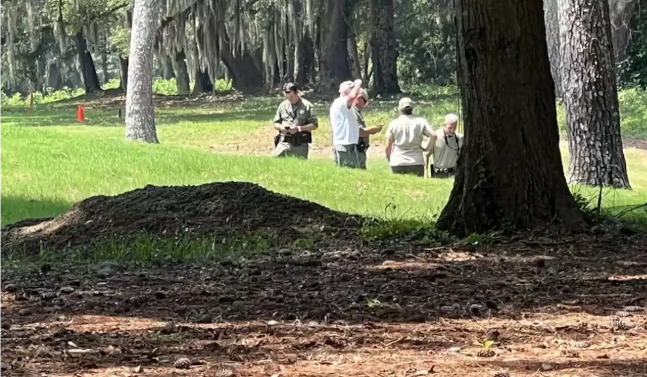 Idosa que passeava com cão é morta por jacaré de 3 metros nos EUA