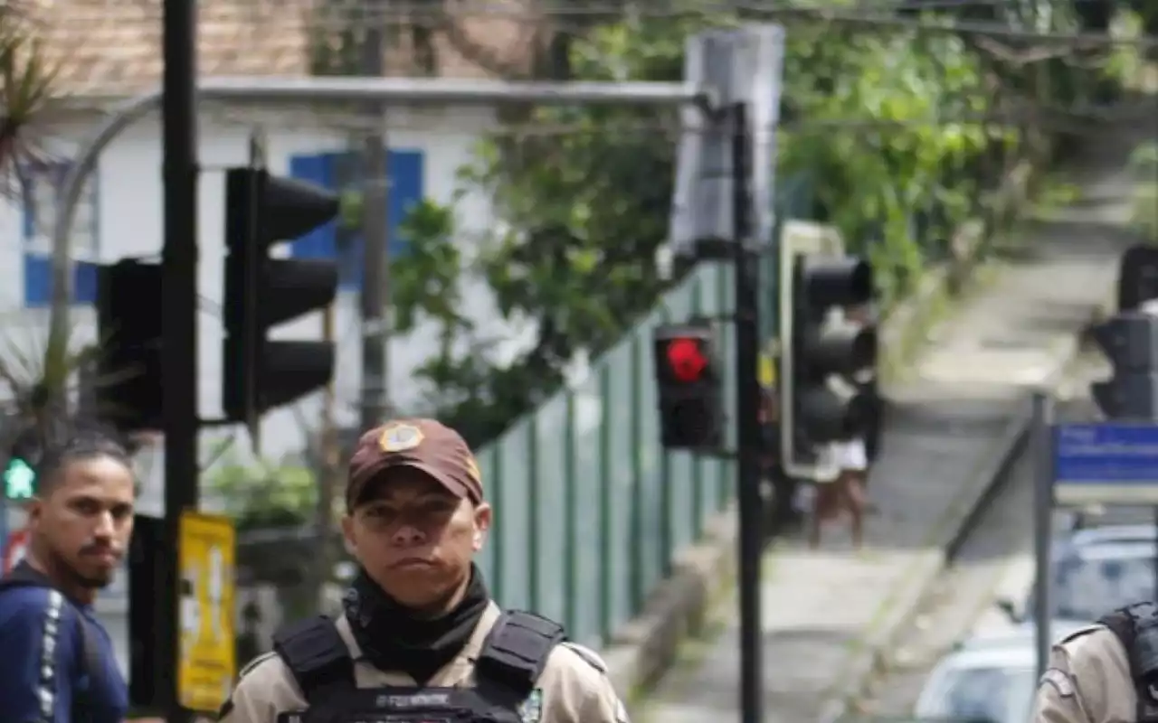 Cães 'aposentados' da Guarda Municipal poderão ser adotados | Rio de Janeiro | O Dia