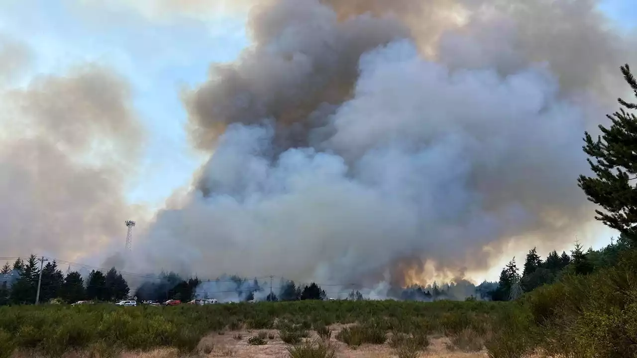 Evacuations ordered for large fire northeast of Shelton