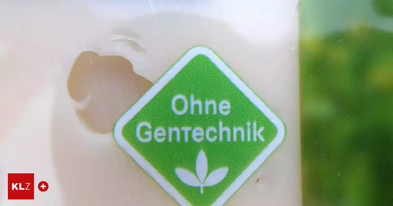 Europas &quot;Green Deal&quot;: Nichts zu tun, geht auch nicht