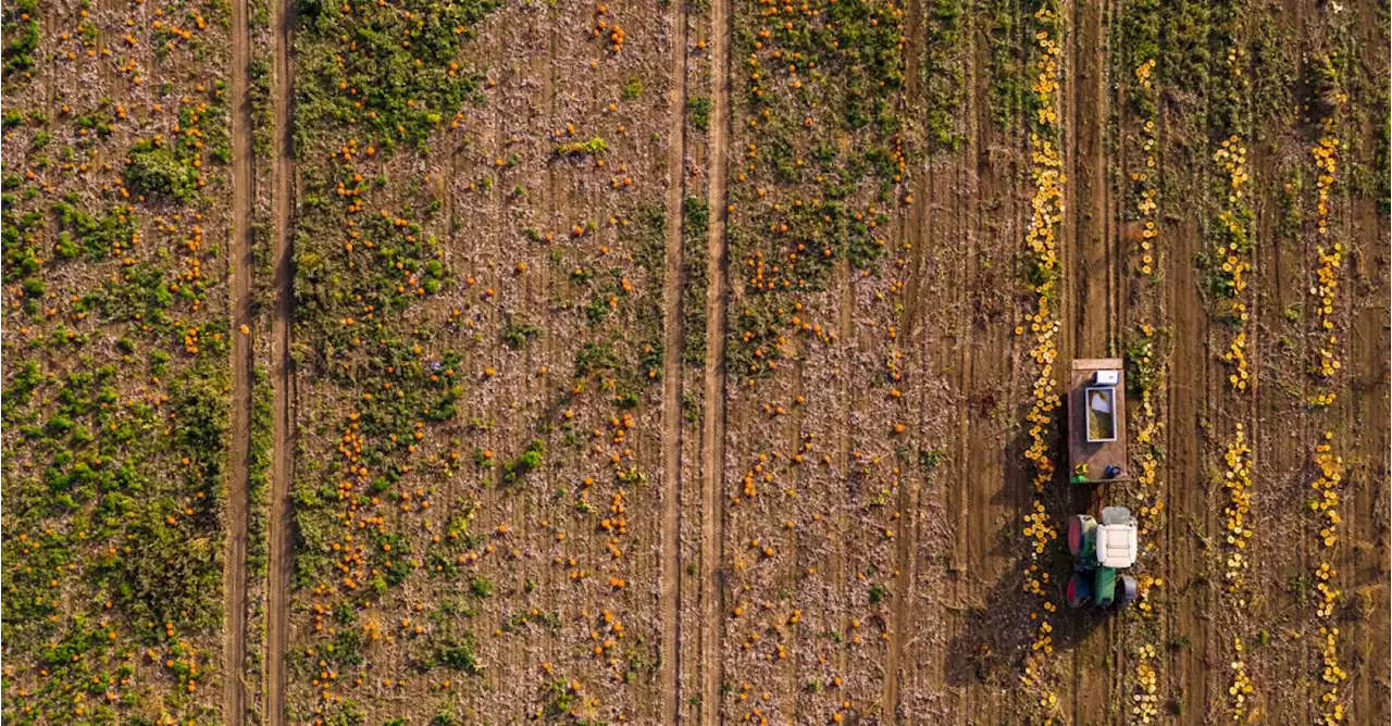 'Wie de natuur herstelt en veerkrachtig houdt, verdient een stevig loon'