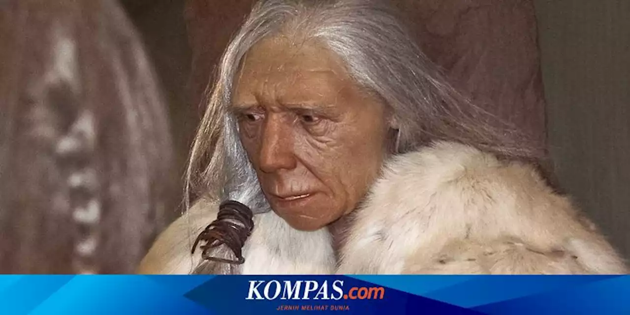 Apakah Bahasa yang Digunakan Manusia Neanderthal?