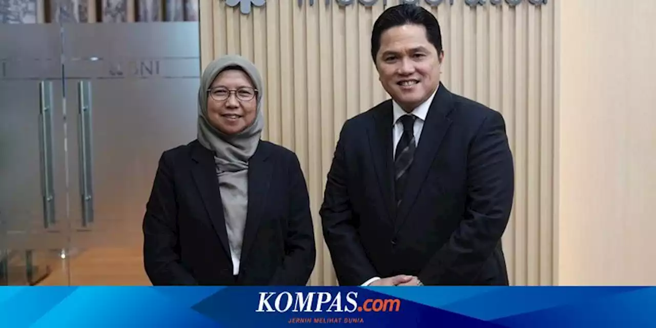 Erick Thohir Ajak PLN Gandeng Perusahaan China Kembangkan Baterai Kendaraan Listrik