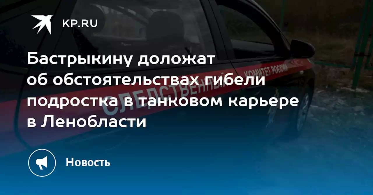 Бастрыкину доложат об обстоятельствах гибели подростка в танковом карьере в Ленобласти