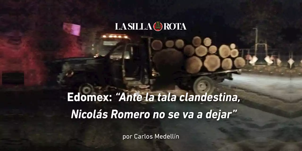 Edomex: “Ante la tala clandestina, Nicolás Romero no se va a dejar”