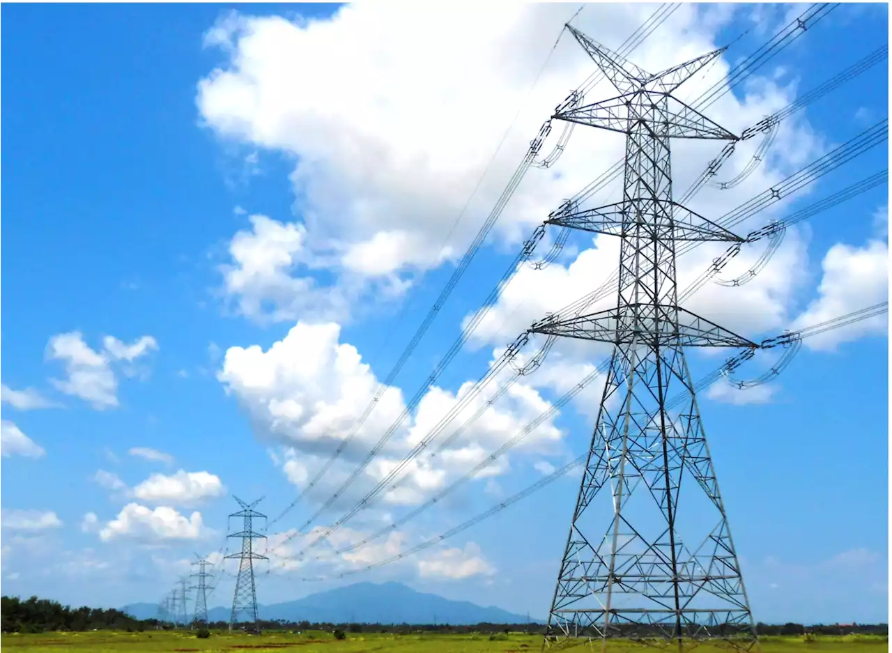 Grid integration delays upsetting RE investors