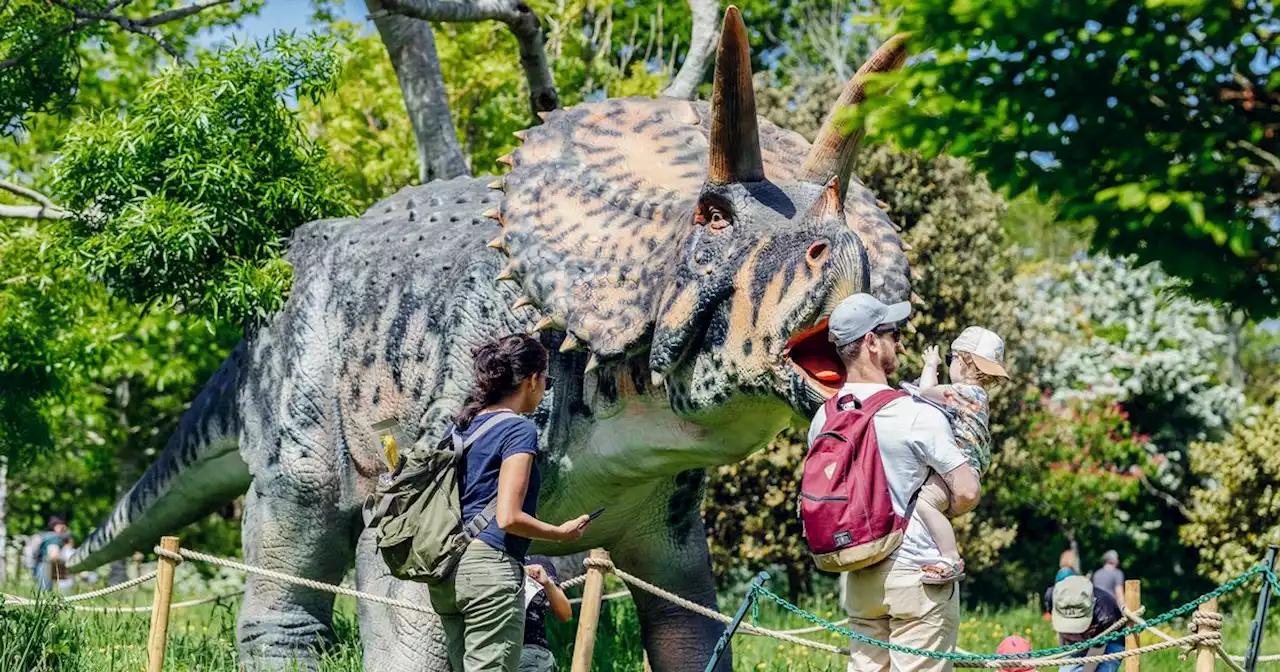 Imaginations will run wild as dinosaurs take over Heaton Park this summer