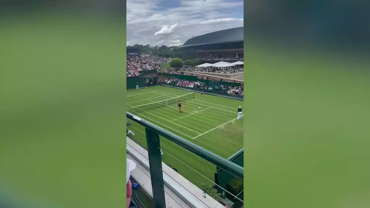 Just Stop Oil protester dragged off Wimbledon court during Katie Boulter match