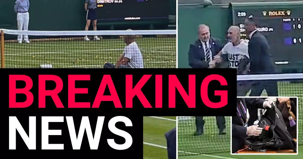 Wimbledon hit by Just Stop Oil as protesters invade court and scatter confetti