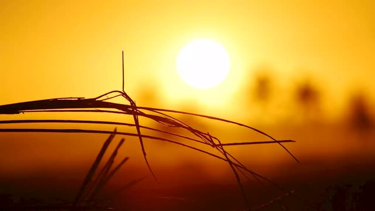 'Certains départements pourraient passer en alerte canicule' : jusqu'à 40 °C annoncés pour ce week-end