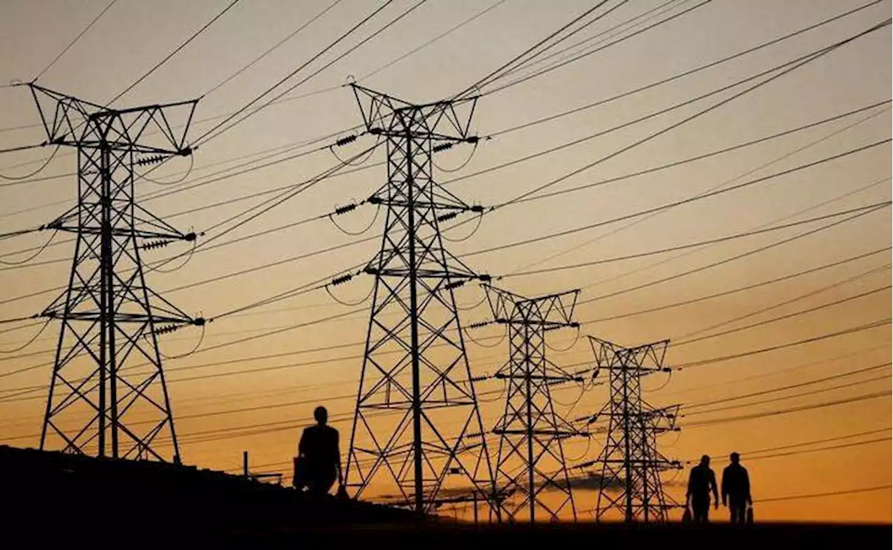 Eskom declares dispute with Lesedi Local Municipality over R125m debt | Business