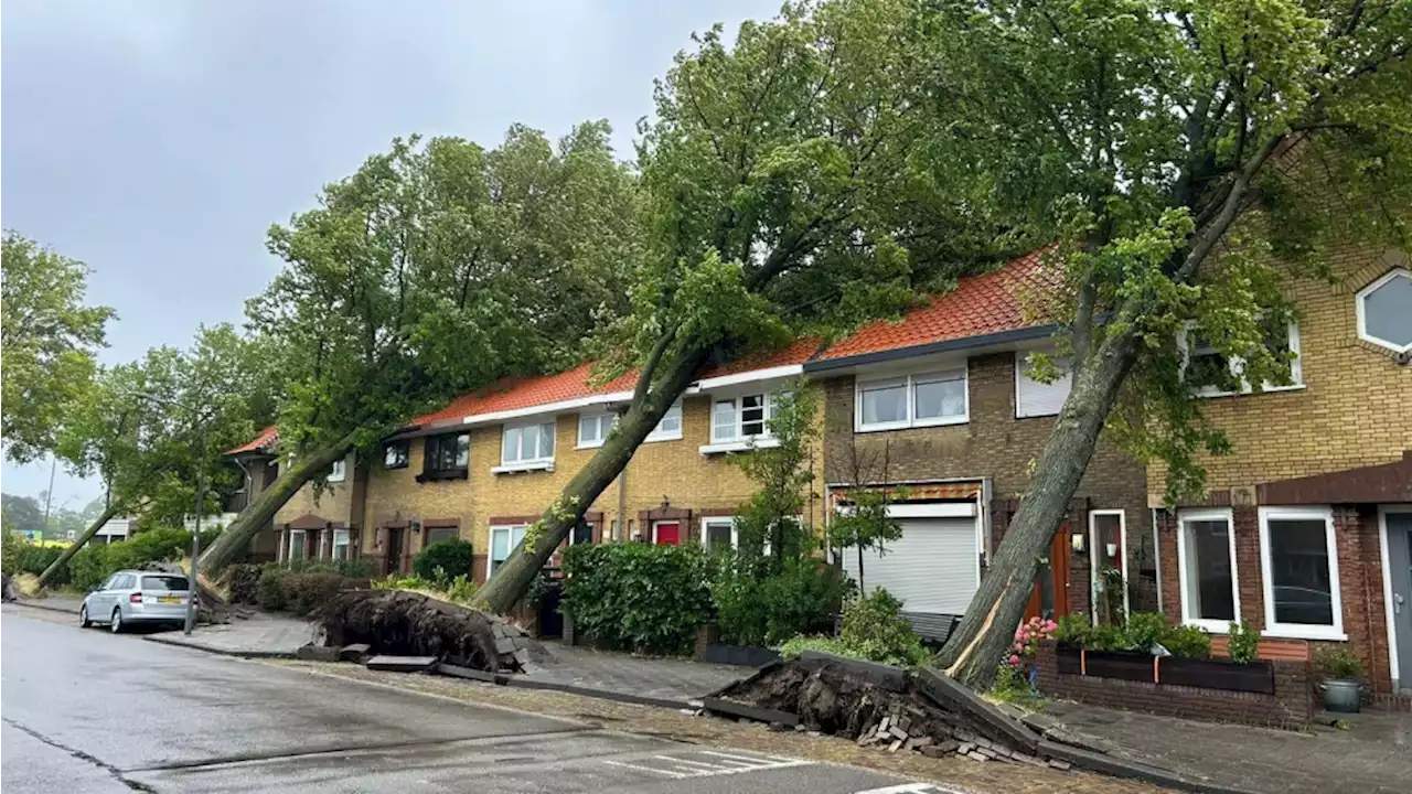 Liveblog Poly: Storm zorgt voor problemen op de weg, dode in Haarlem