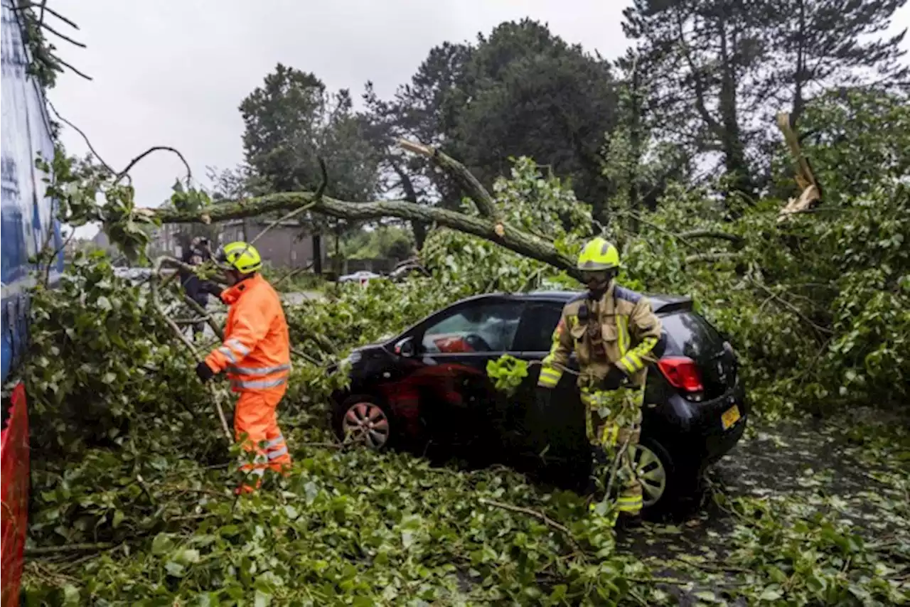 Vrouw (51) overleden nadat boom op auto valt tijdens zomerstorm in Nederland