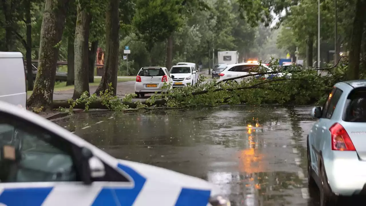 KNMI: code rood voor Noord-Holland, Friesland, Flevoland en IJsselmeergebied