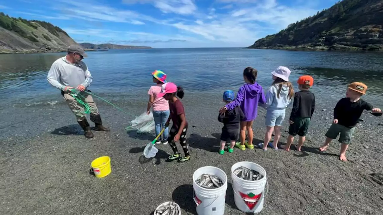 Paying it forward with capelin