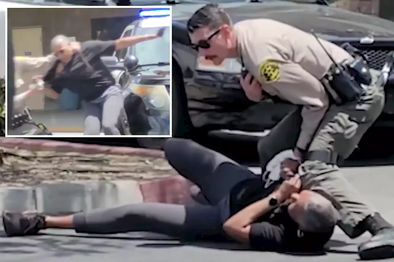 Intense video shows LA cop slamming woman to ground, pepper spraying her