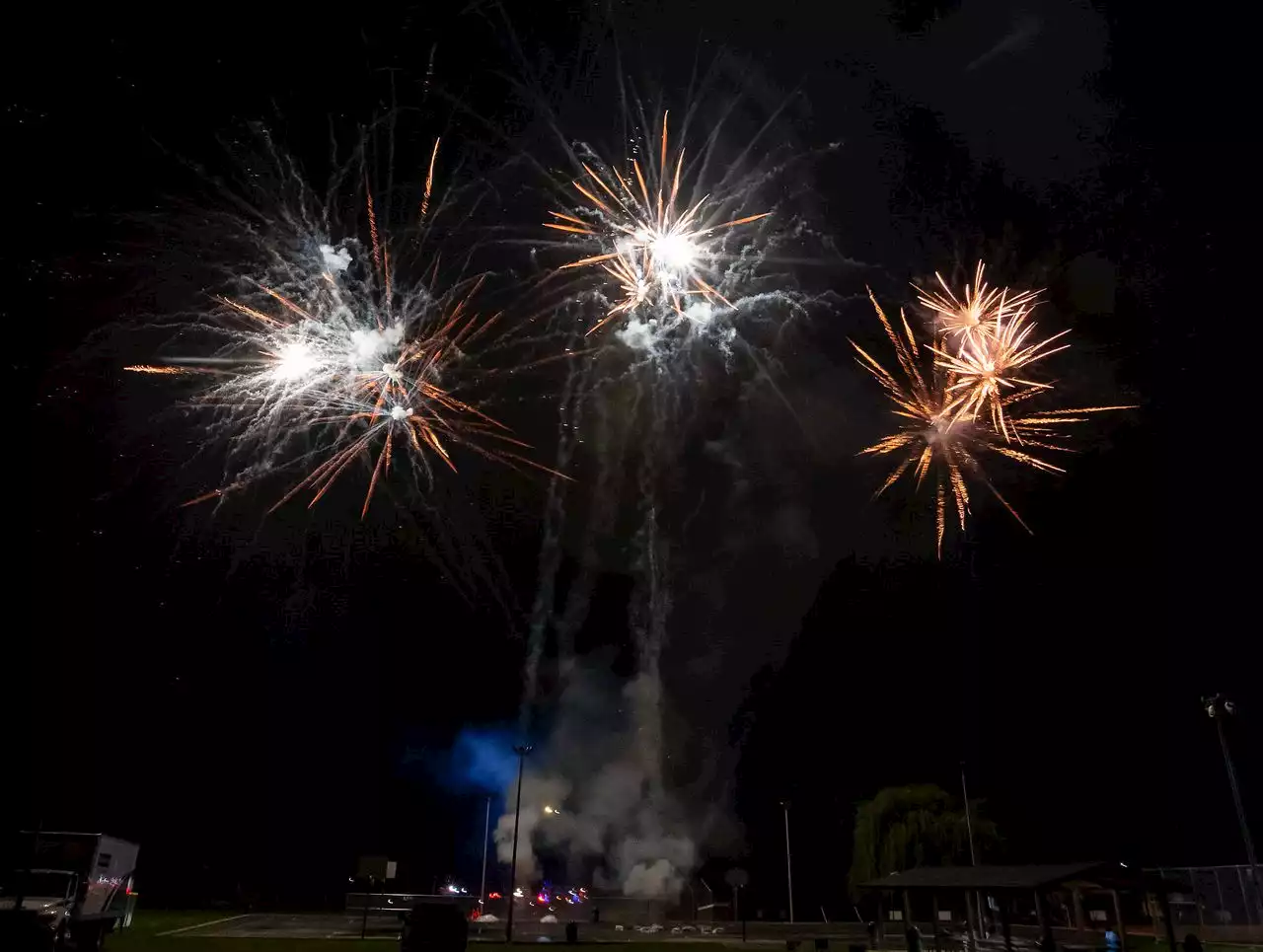 5 teens arrested after ‘riotous’ behavior at Dauphin County fireworks display: police