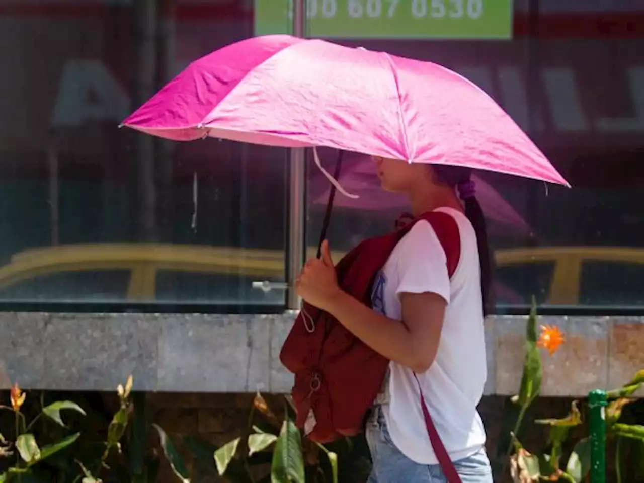 Fenómeno de El Niño: sus efectos y cuándo se sentirán en Colombia