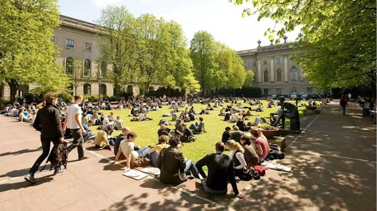 Der schwache Puls der Berliner Hochschuldemokratie