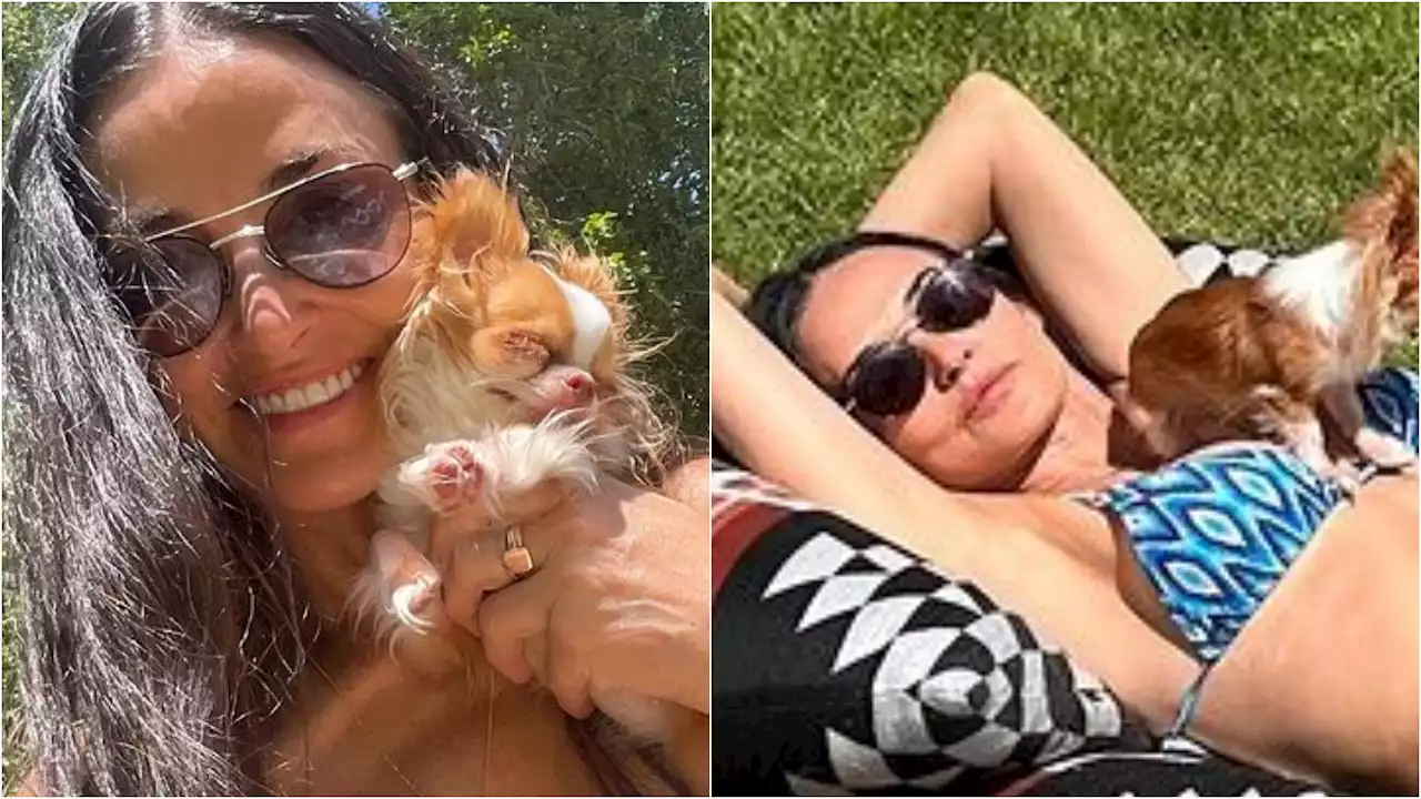 Aos 60 anos, Demi Moore posa de biquíni e exibe boa forma em banho de sol