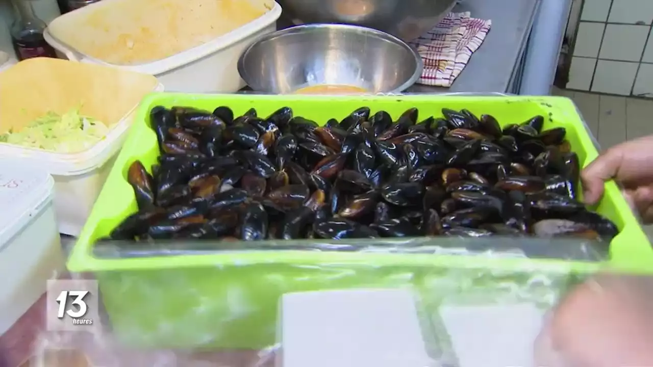 Les mois en '-bre' sont-ils vraiment les meilleurs mois pour manger des moules ?