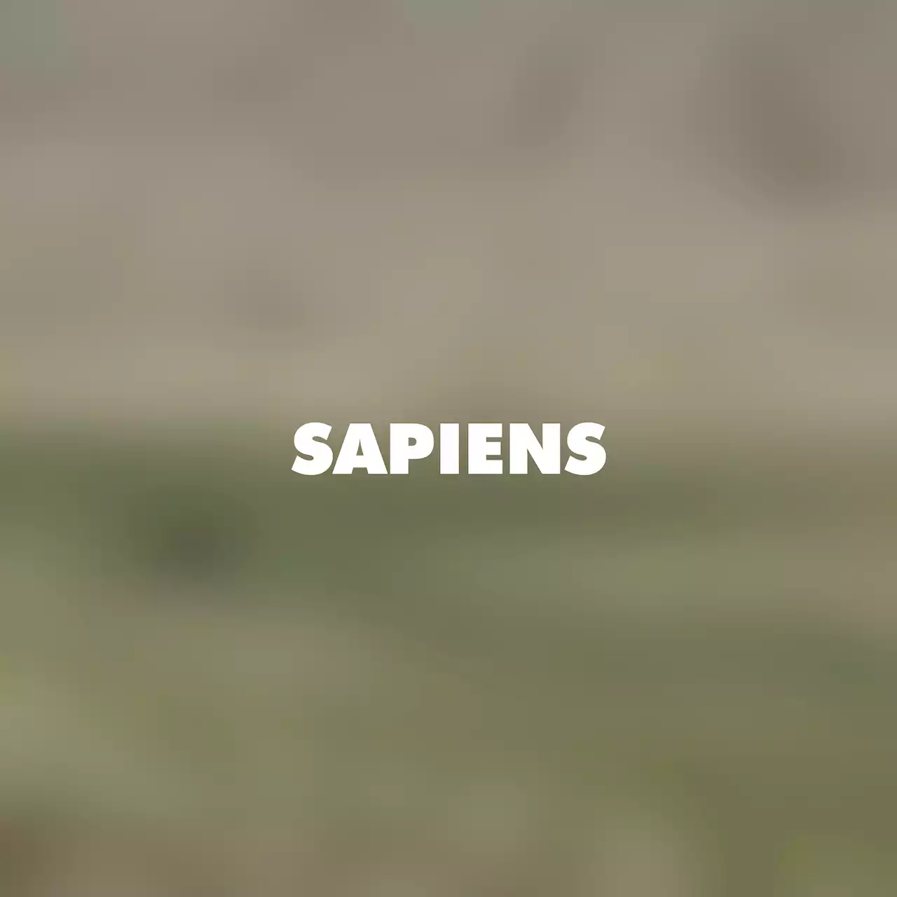 SAPIENS Newsletter