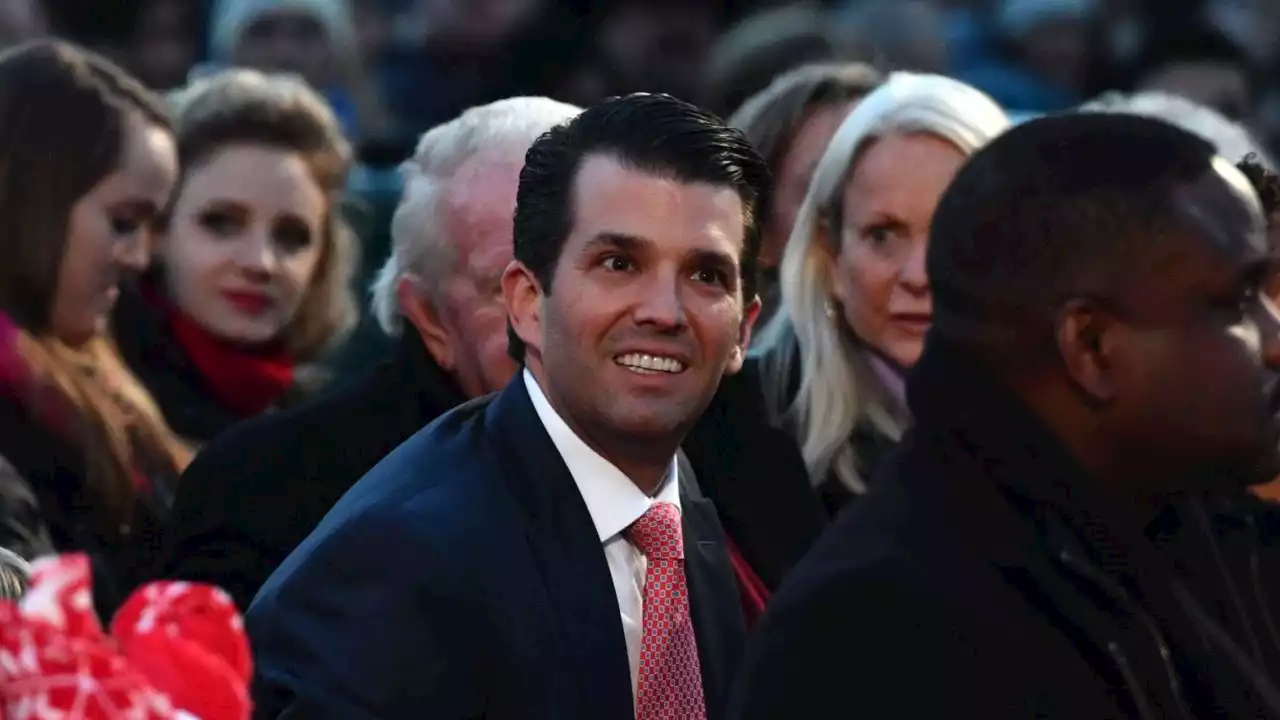 Donald Trump Jr postpones Australia trip amid visa debacle